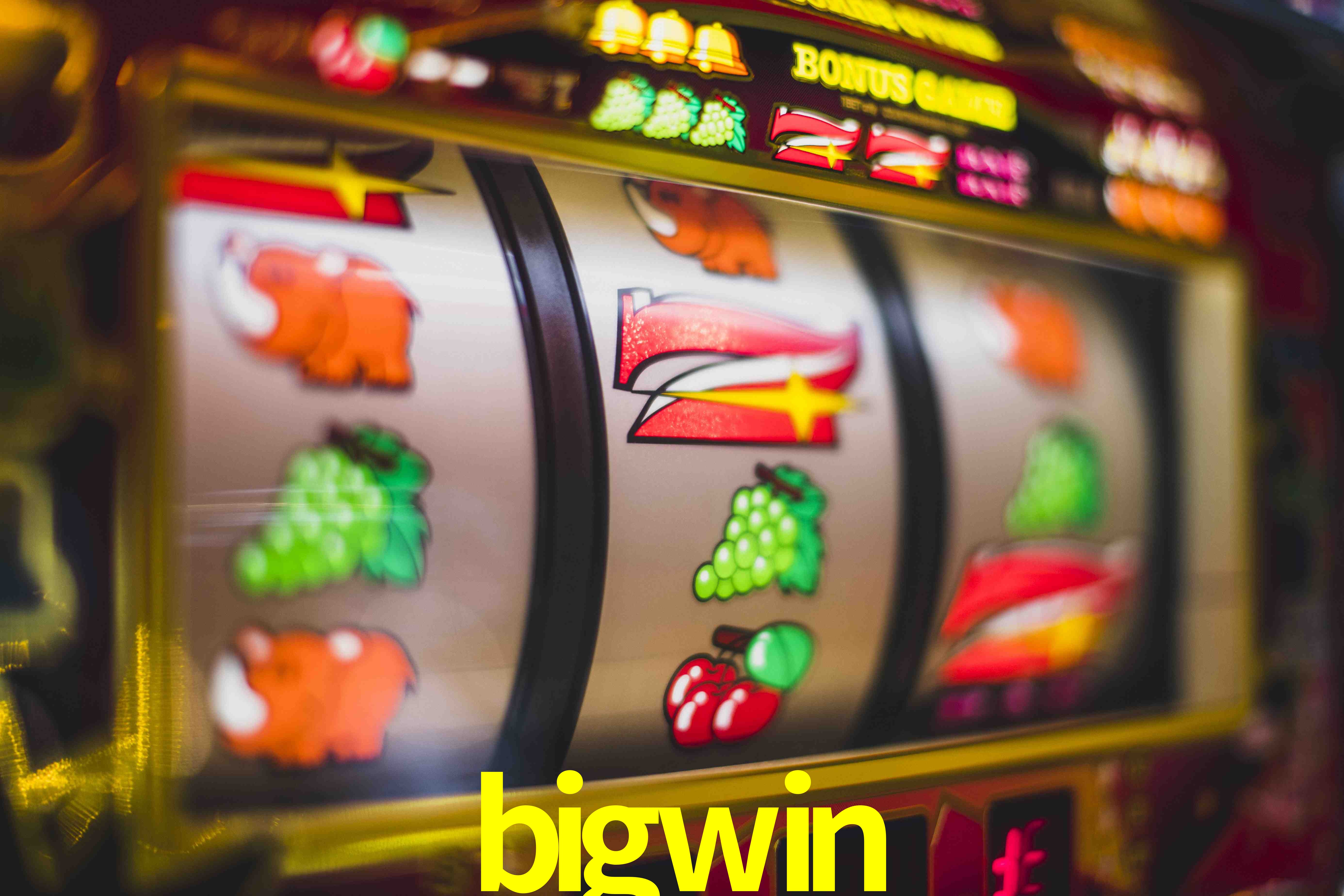 Statistics bigwin