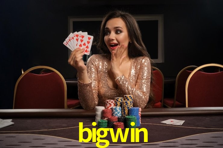 Programa VIP bigwin