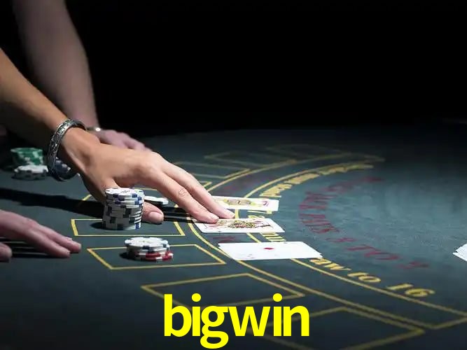 bigwin Salvador - Support
