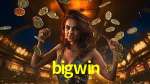 Game Providers bigwin