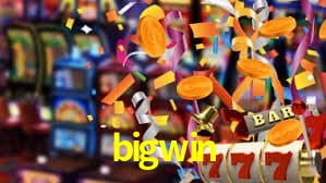 bigwin vip